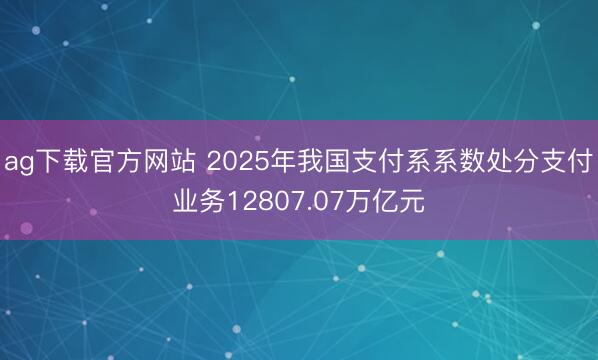 ag下载官方网站 2025年我国支付系系数处分支付业务12807.07万亿元